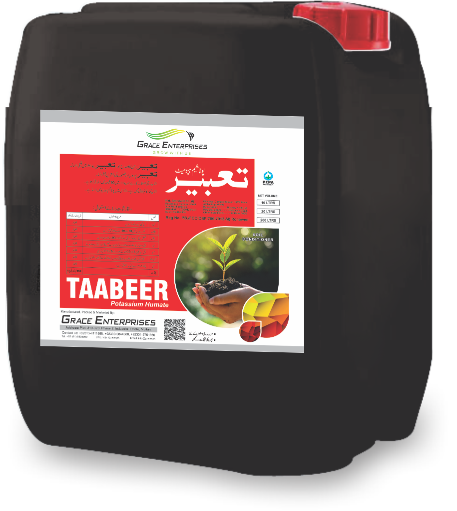 Taabeer Cane